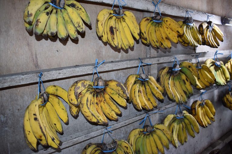 bananas, market, ripe bananas